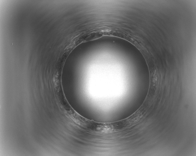 X0000053160559200507251911