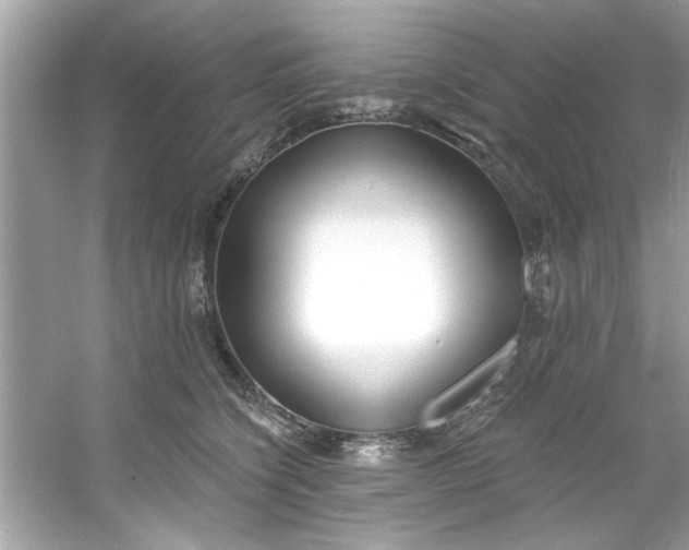 X0000053160564200507251911