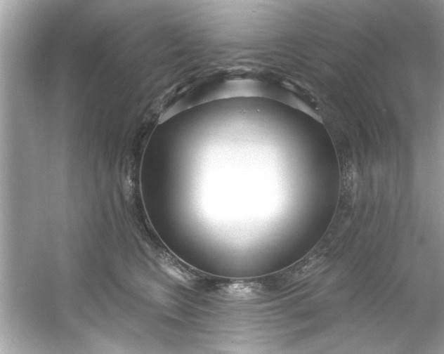 X0000053160566200507251911