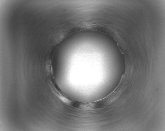 X0000053160576200507251911