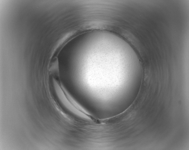 X0000053160578200507251911