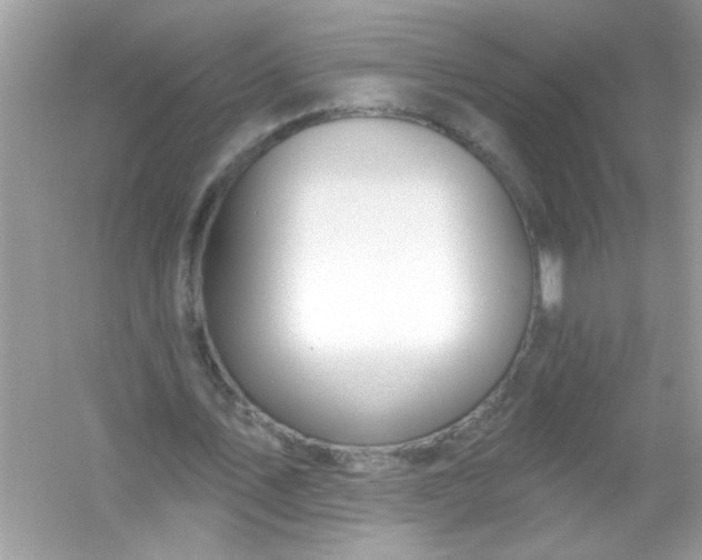 X0000053160579200507251911