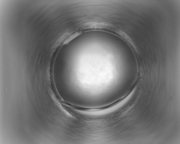 X0000053160581200507251911