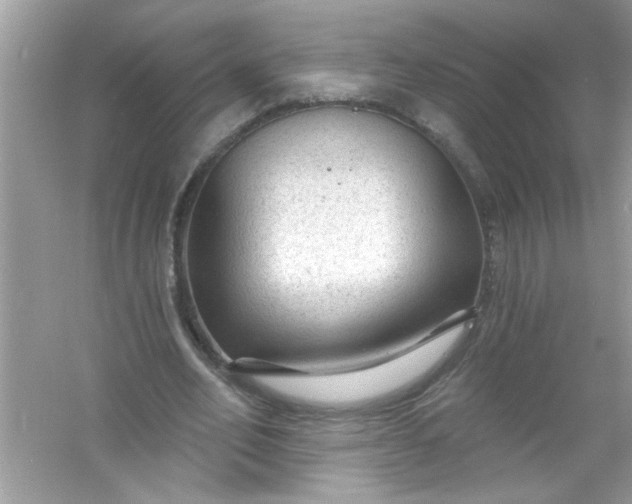 X0000053160582200507251911