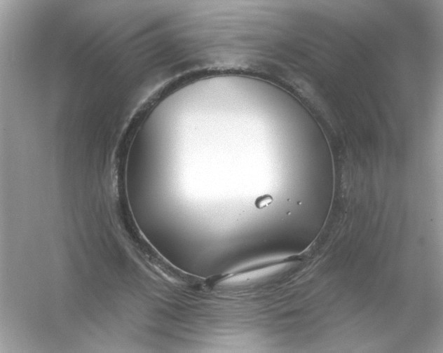 X0000053160584200507251911