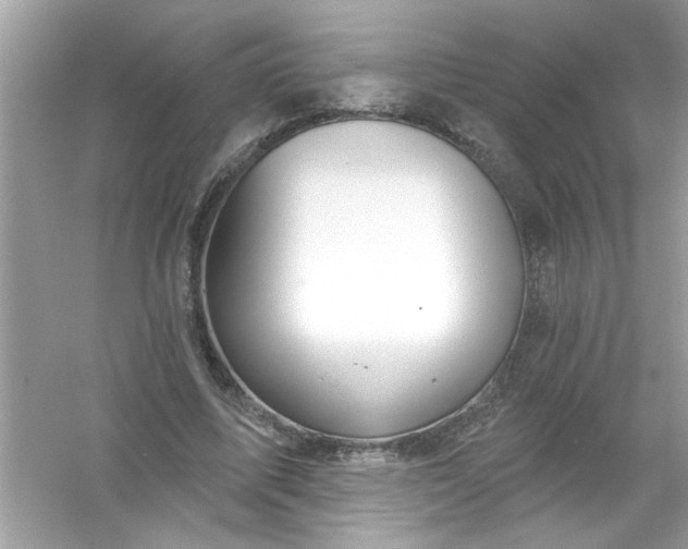 X0000053160587200507251911