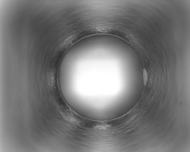 X0000053160595200507251910
