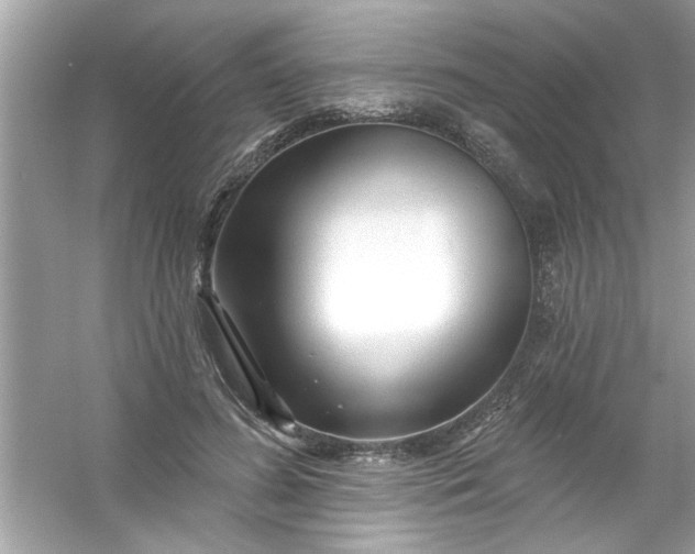 X0000053160596200507251910