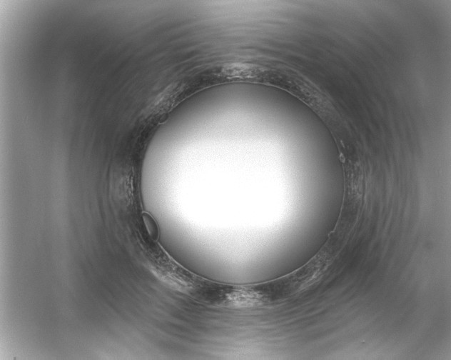 X0000053160603200507251910
