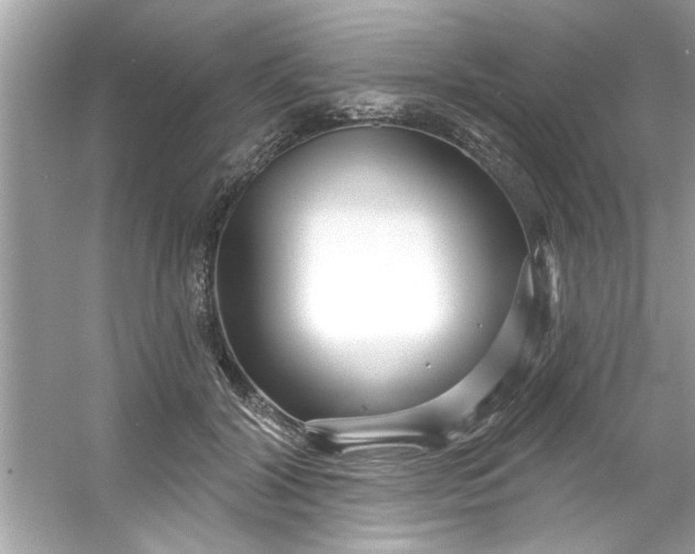 X0000053160604200507251910