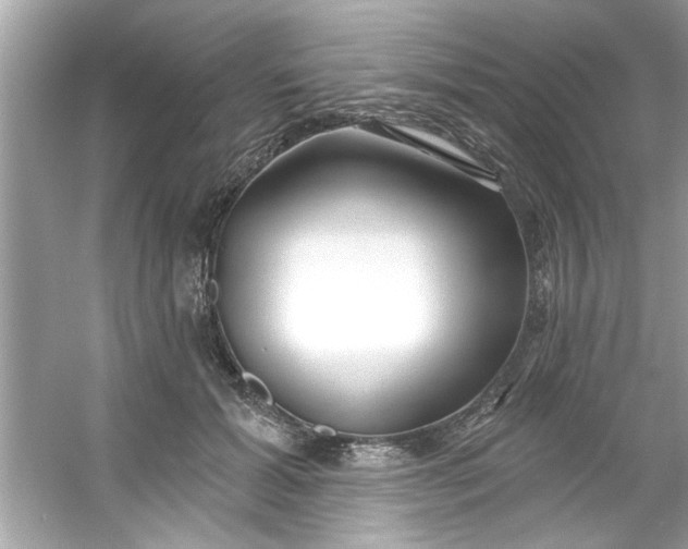 X0000053160605200507251910