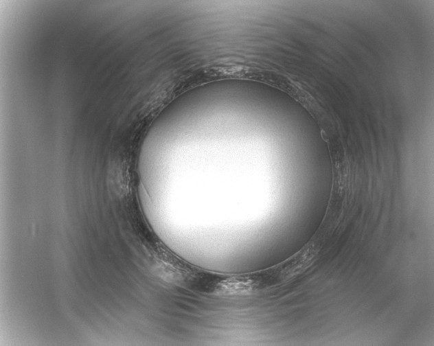 X0000053160606200507251910