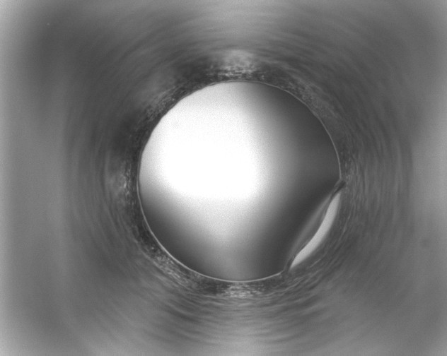 X0000053160608200507251910