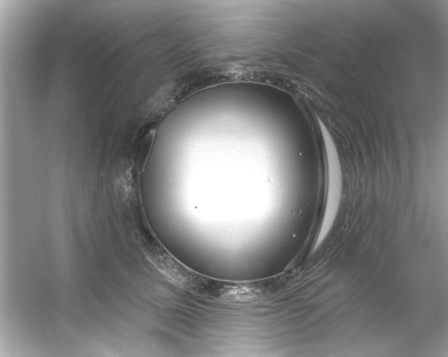 X0000053160611200507251910