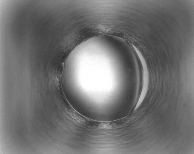 X0000053160613200507251910