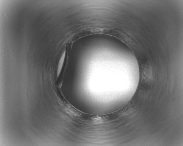 X0000053160616200507251910