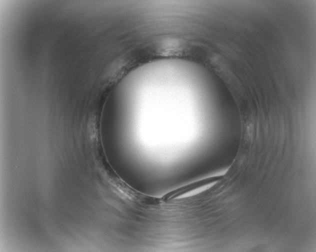 X0000053160620200507251910