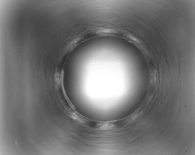 X0000053160621200507251910