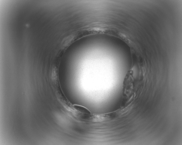 X0000053160623200507251910