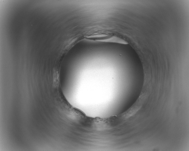 X0000053160624200507251910