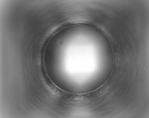 X0000053160631200507251909