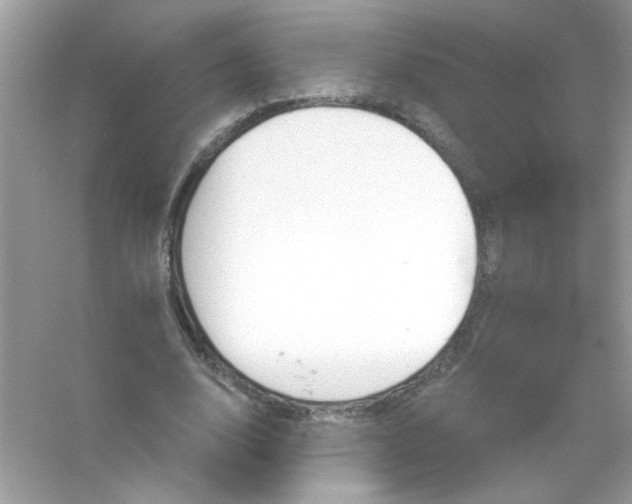 X0000053160632200507251909
