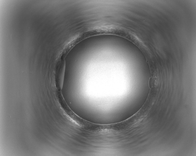 X0000053160637200507251909