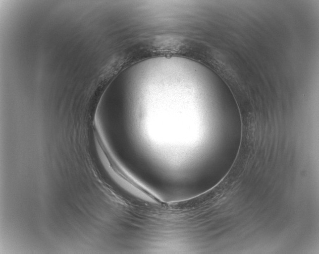 X0000053160641200507251909
