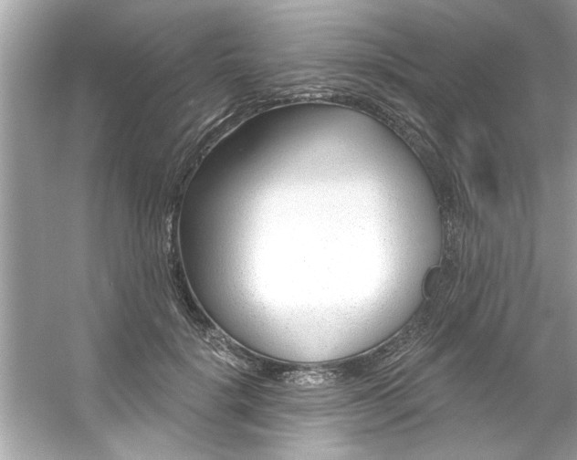 X0000053160652200507251910