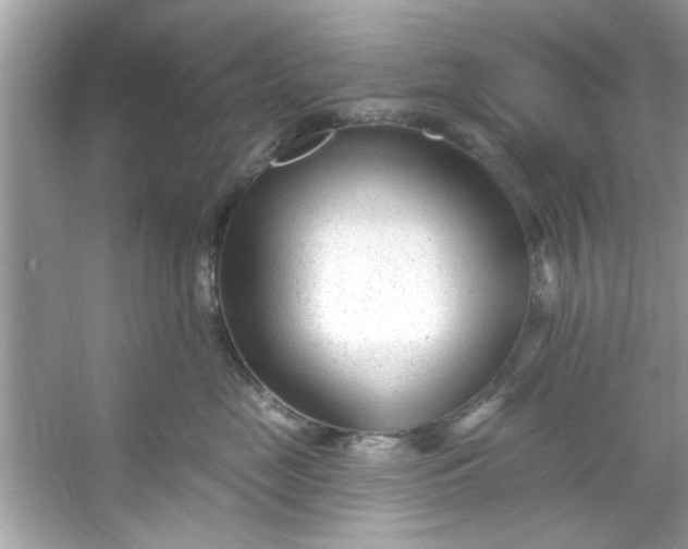 X0000053160669200507251910