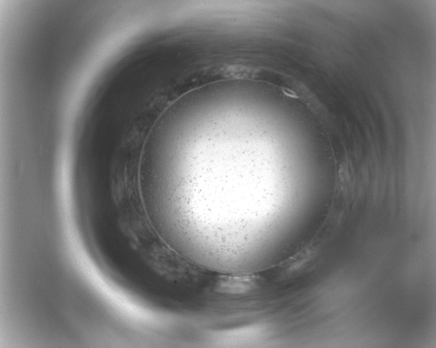 X0000053160671200507251910