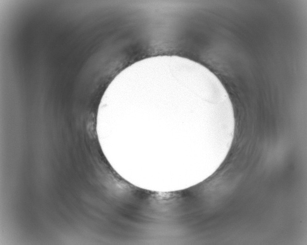 X0000053160672200507251910