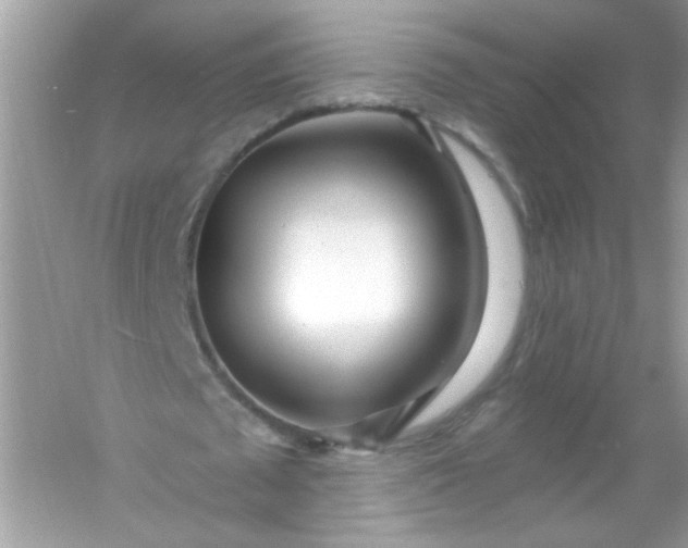 X0000053160673200507251909