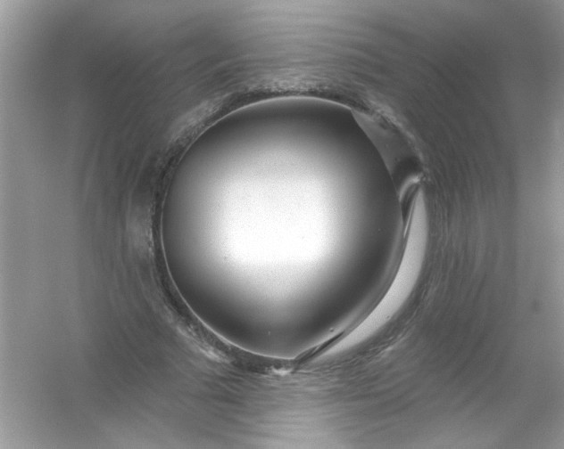 X0000053160681200507251909