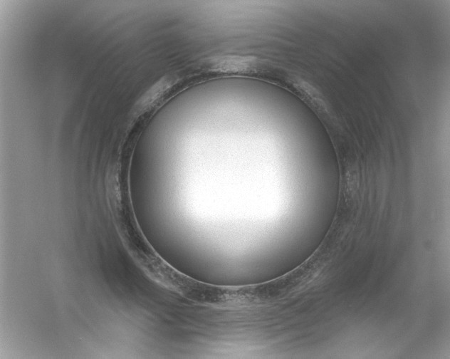 X0000053160682200507251909