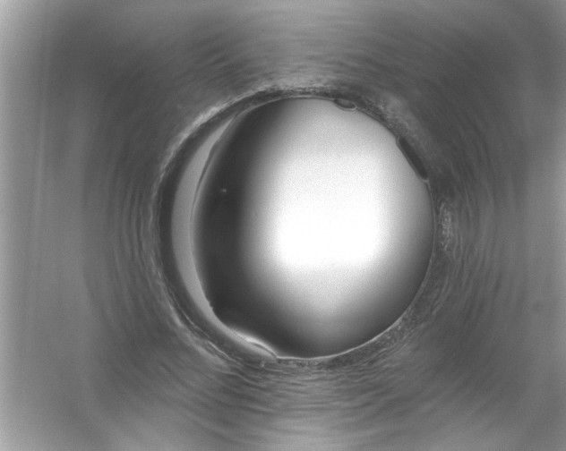 X0000053160684200507251909