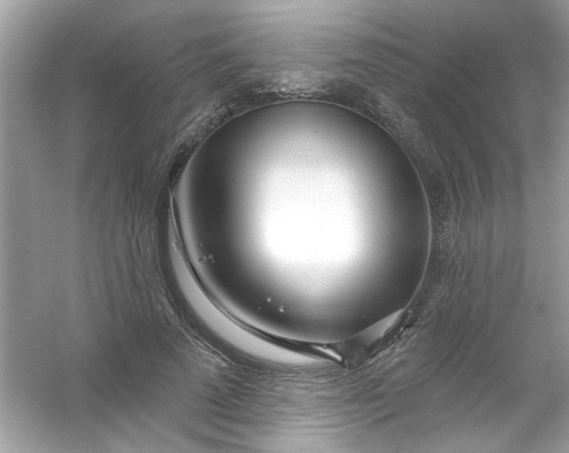 X0000053160689200507251909