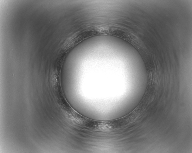 X0000053160702200507251909