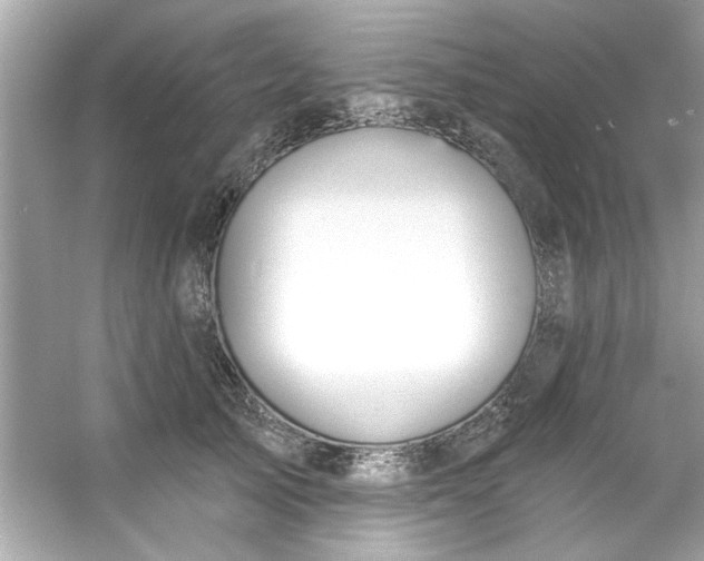 X0000053160705200507251908