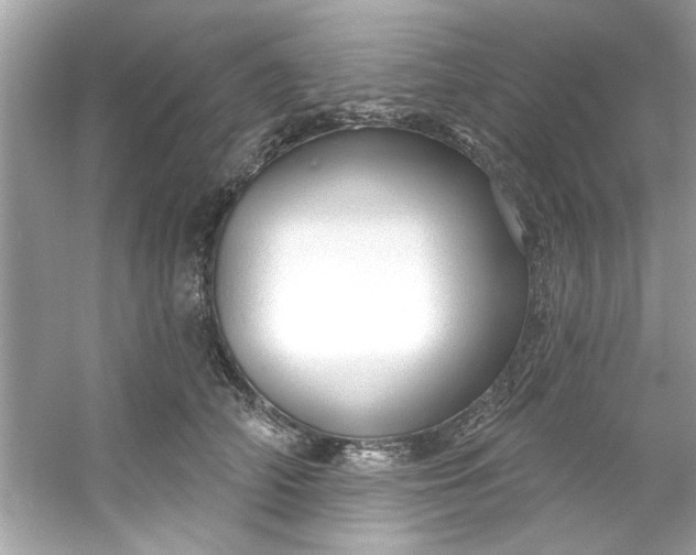 X0000053160706200507251908