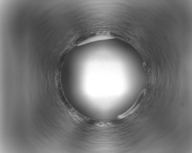 X0000053160712200507251908