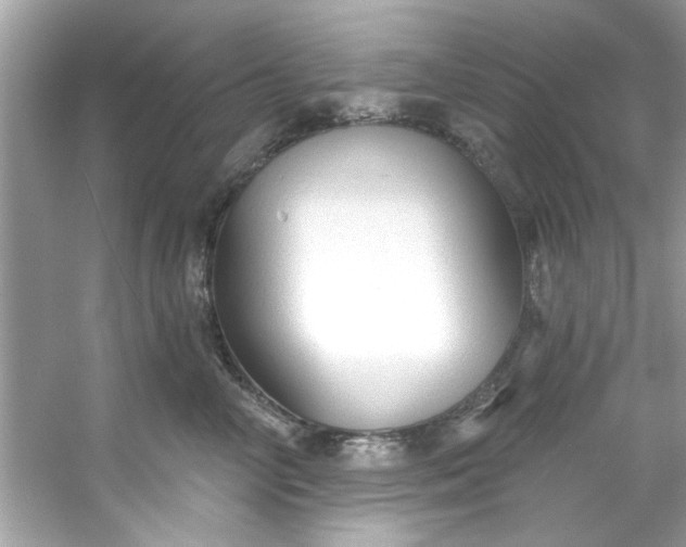 X0000053160714200507251908
