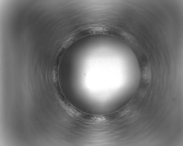 X0000053160715200507251908