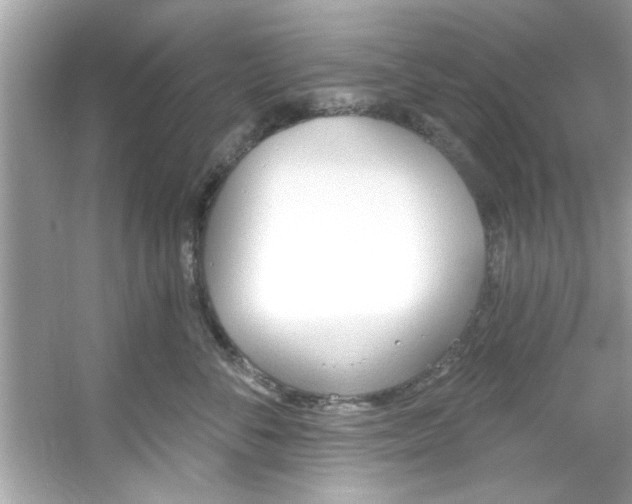 X0000053160716200507251908