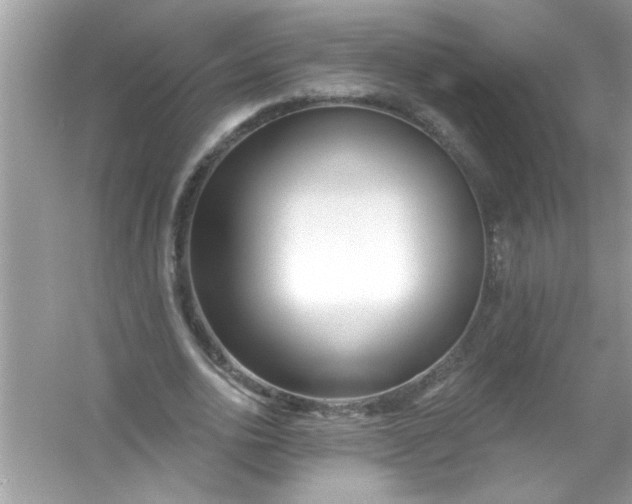 X0000053160726200507251908