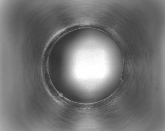 X0000053160728200507251908