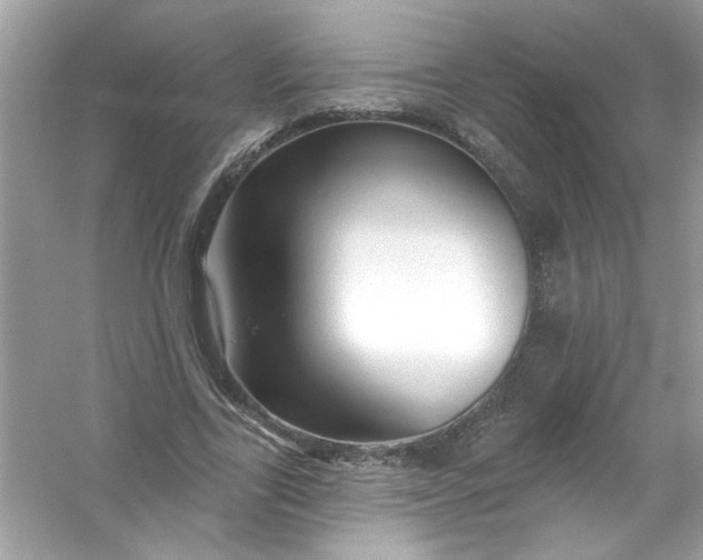 X0000053160731200507251908