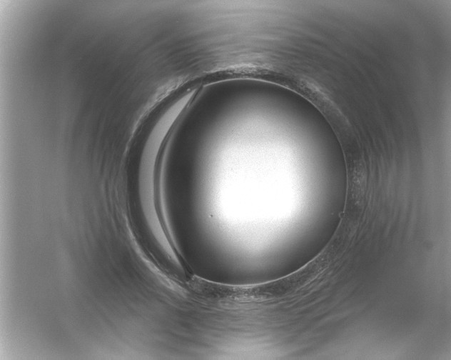X0000053160734200507251908