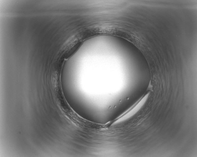 X0000053160744200507251908