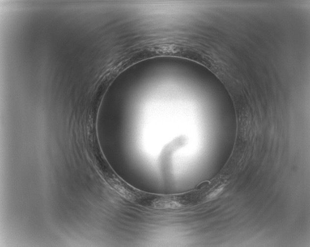 X0000053160747200507251908